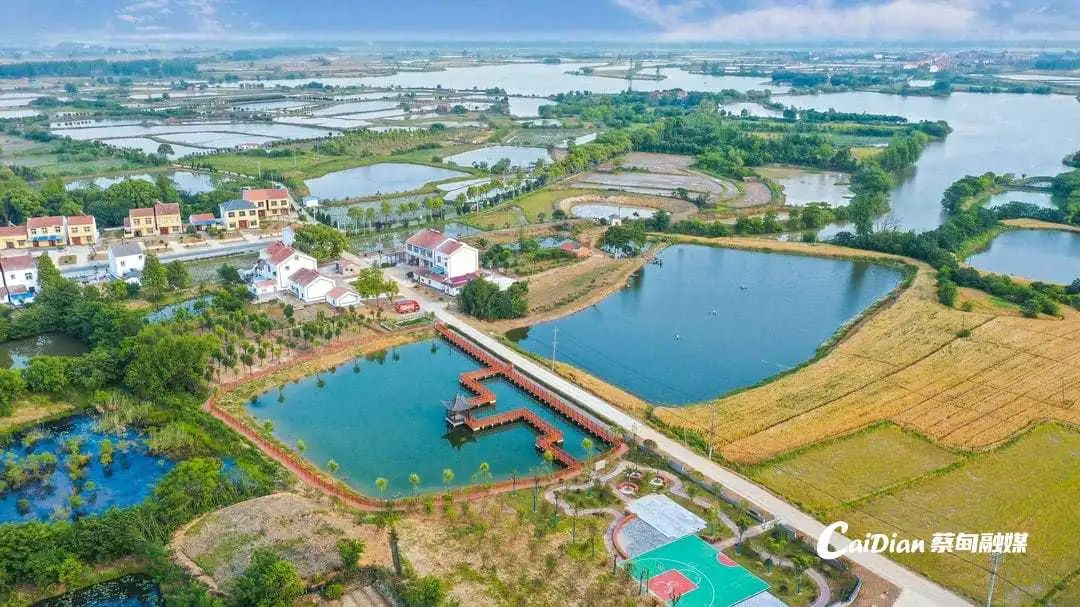 武漢市首發七條城市綠標，蔡甸3地上榜！